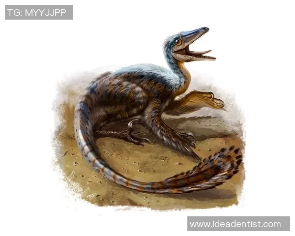 始祖鸟的特点与优势分析以及在宠物市场中的表现如何